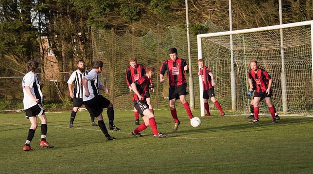 避免常见误 避免常见误