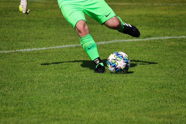 己的实力 己的实力