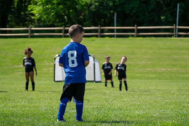 专业培训以 专业培训以