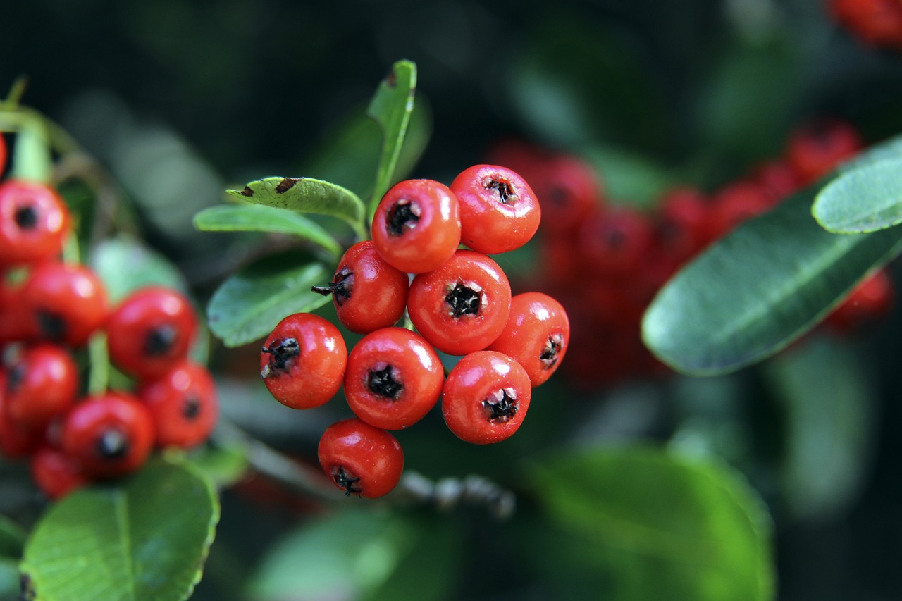 雨霏例子中 雨霏例子中