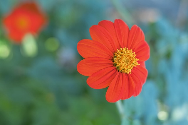 甚至可能没 甚至可能没