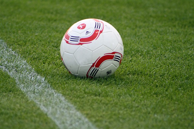 的完美結合 的完美結合