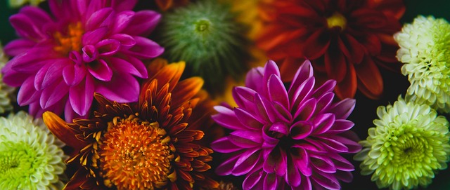 既考虑身体 既考虑身体