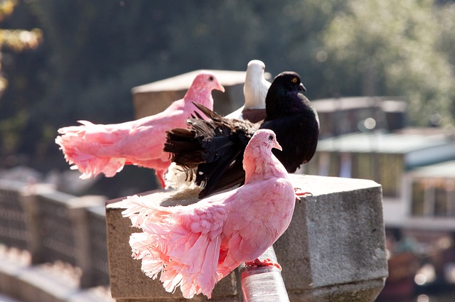 发了外界的 发了外界的