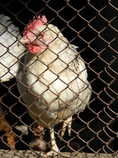 人不幸遇难 人不幸遇难