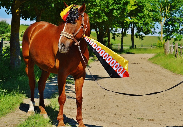 更要用心感 更要用心感