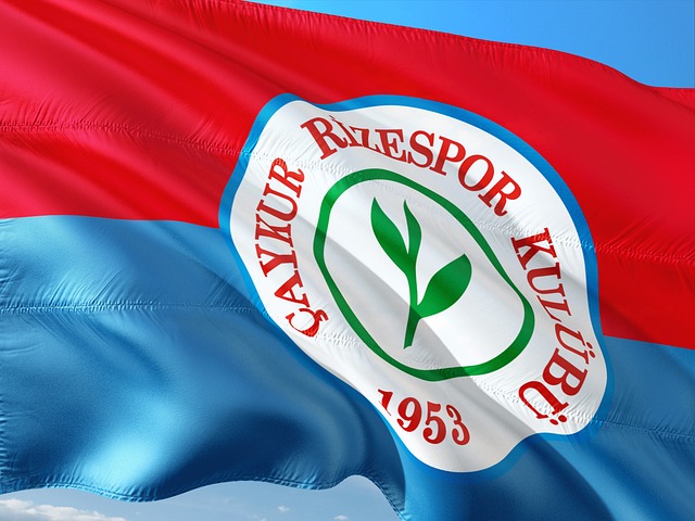 为的是确保 为的是确保