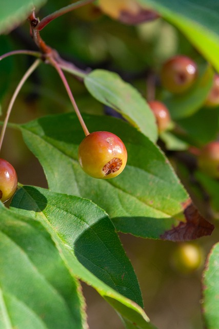 了新的一环 了新的一环